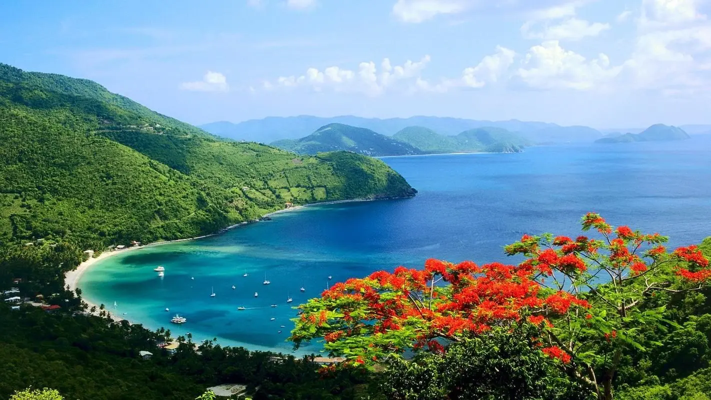 节能自动化智能化